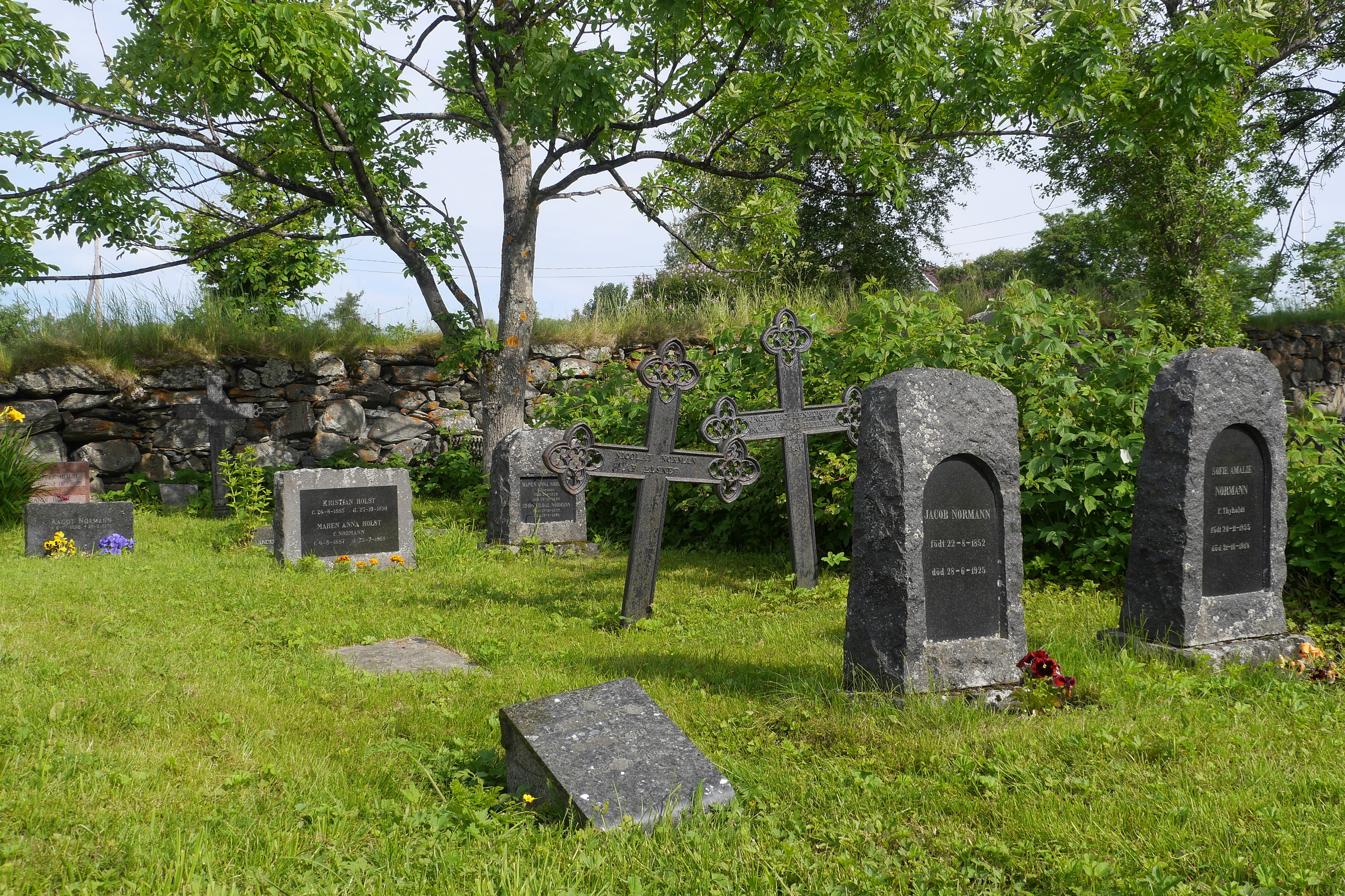 Ausflug Inselwelt der Vesteralen